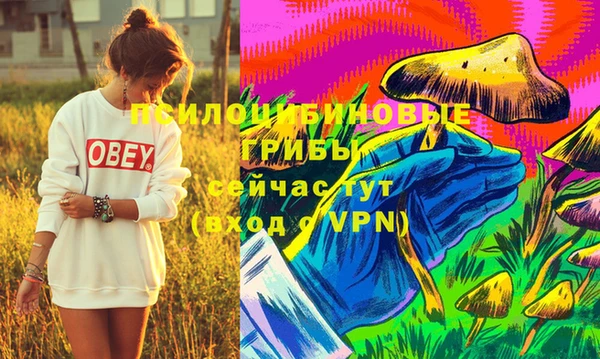 меф Мегион