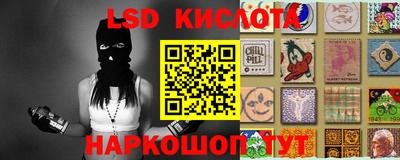 стафф Дубна