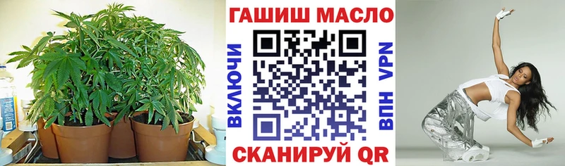 ТГК концентрат  Шебекино 