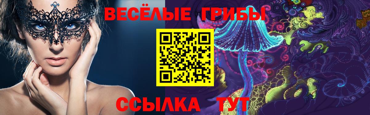 Шебекино  Галлюциногенные грибы Psilocybe  что такое   Вход с VPN 